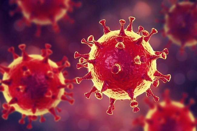 Жизнеспособность коронавируса COVID-19 на разных материалах, - исследование ученых
