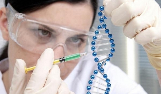Генетики открыли ген “сварливого мужа”