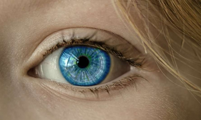 Медики нашли способ вернуть зрение слепым