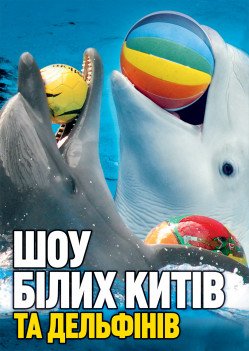 Дельфинарий NEMO.Шоу белых китов та дельфінів