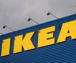 IKEA обвинили в использовании незаконно вырубленной в Украине древесины