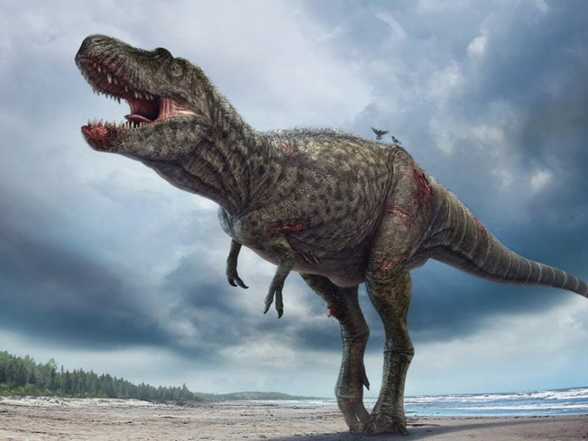 Ученые выяснили, почему динозавры были такими огромными