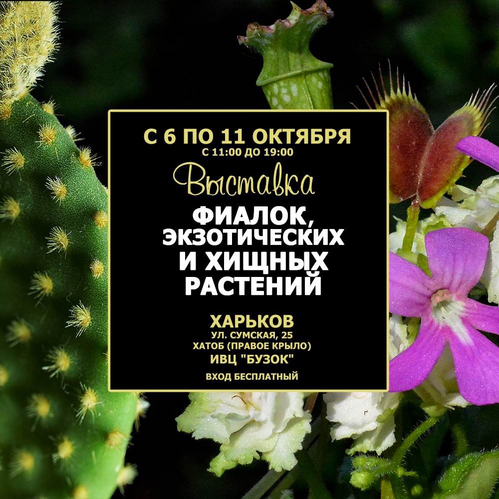 Выставка Фиалок, а также Экзотических и Хищных растений от самой яркой и удивительной коллекции Украины - DIONAEAS.