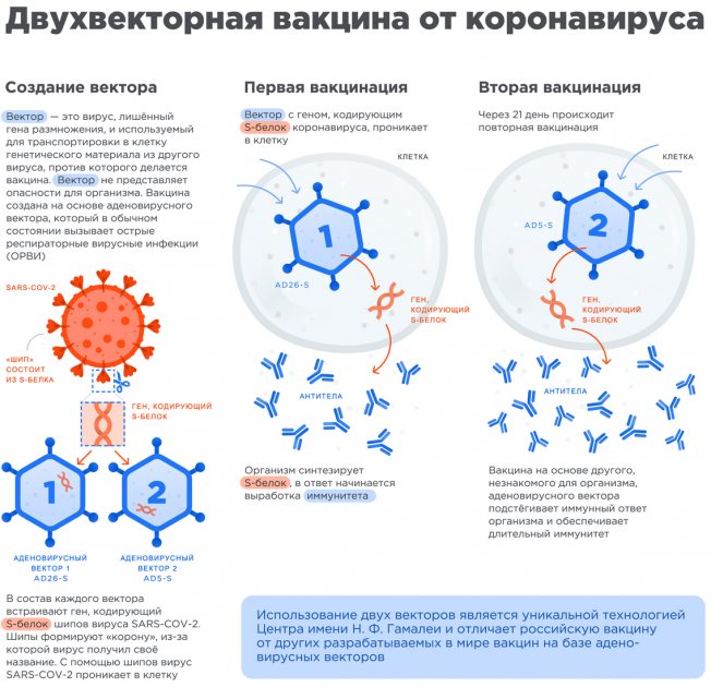 Вакцина против коронавируса Спутник V: что известно о препарате