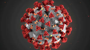 В Европе быстро распространяется новый, более заразный вид коронавируса