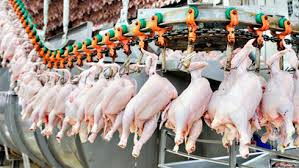 Украина вошла в топ-3 экспортеров мяса птицы в ЕС