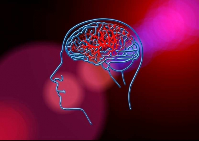 Нейропсихолог рассказала о методах восстановления памяти
