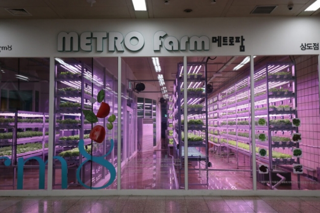 В Сеуле овощи выращивают прямо в метрополитене (Фото)
