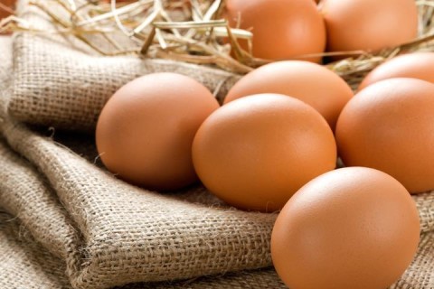 Диетолог рассказала, зачем есть яйца и как их правильно готовить