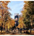 Самый большой портрет Тараса Шевченко нарисовали в Харькове (ВИДЕО, ФОТО)