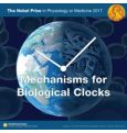 Біологічний годинник визнали гідним першої у цьому році Нобелівської премії 