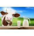 Какое молоко можно пить без вреда для здоровья: экспертиза торговых марок, как проверить качество