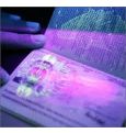 Биометрические паспорта начнут выдавать уже в этом году