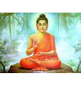 30 лучших цитат Будды