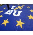 Куда приведут ультраправые победы на евровыборах