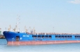 В Турцию зашел корабль с краденым украинским зерном