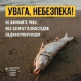 Масовий мор риби почався на Дніпропетровщині