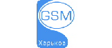 GSM Харьков, компания