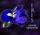 Iris, салон красоты